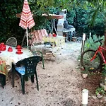 With Garden - Zuvan