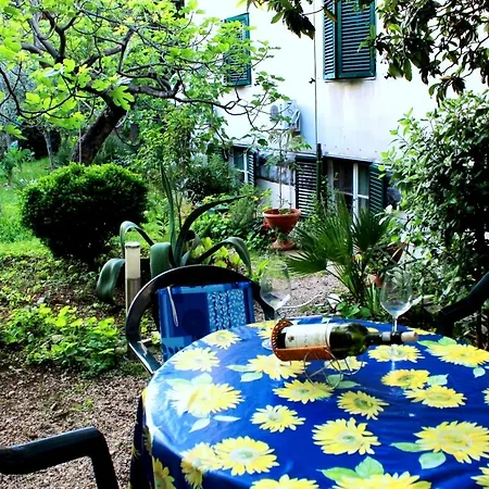 Guest House With Garden - Zuvan Guest house