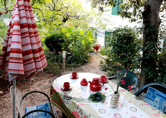 With Garden - Zuvan